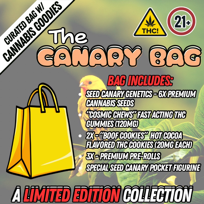 The Canary Bag – LIMITED EDITION COLLECTION
